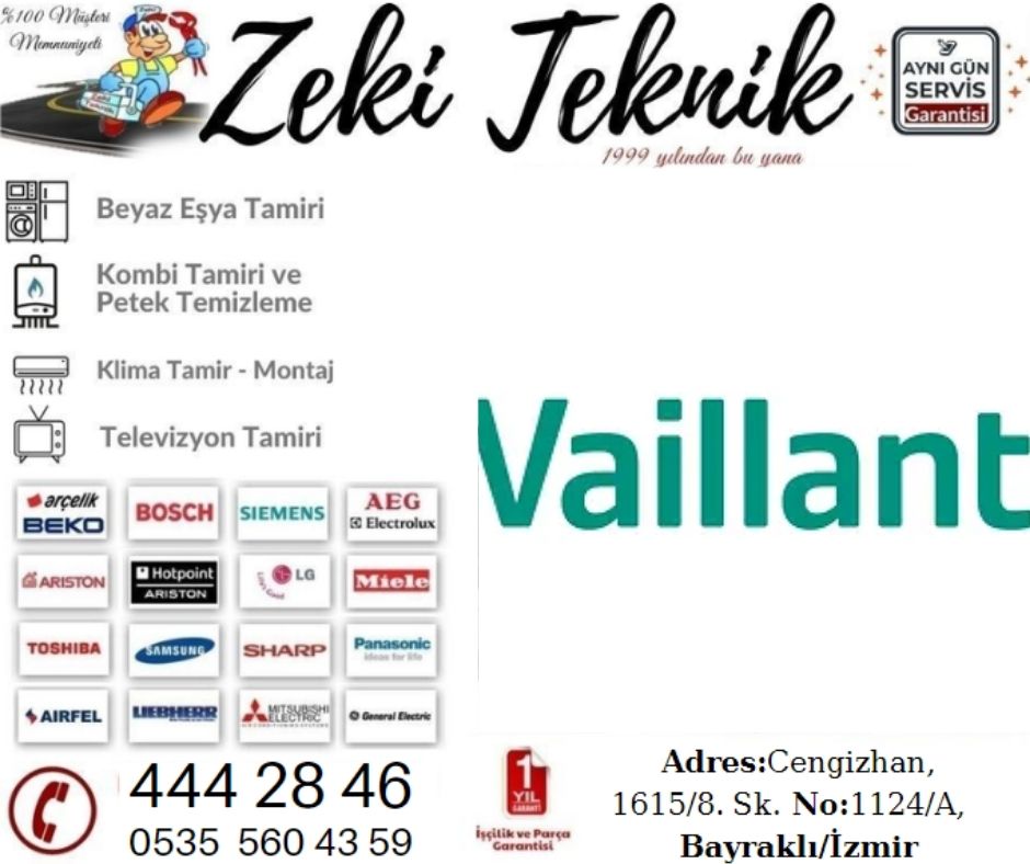 Bayraklı Vaillant Servisi